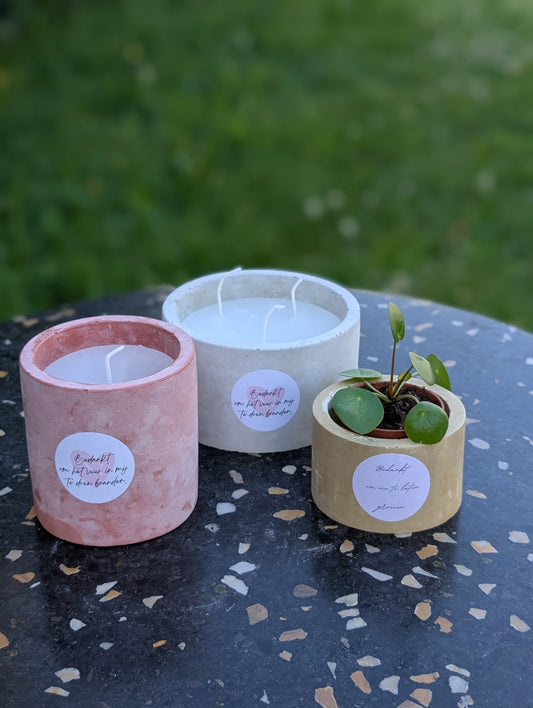 Betonlook bloempotje met plantje