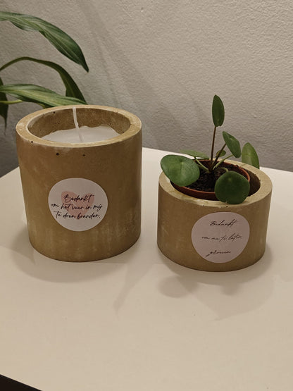 Betonlook bloempotje met plantje